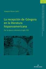 La recepción de Góngora en la literatura hispanoamericana