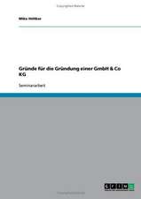 Gründe für die Gründung einer GmbH & Co KG