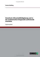 Simulierte Ultraschallbildgebung und in der medizinischen Diagnostik auftretende Artefakte