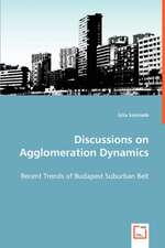 Discussions on Agglomeration Dynamics