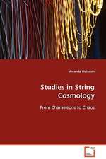 Studies in String Cosmology