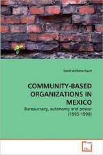 Community-based Organizations In Mexico