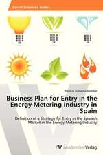 Business Plan for Entry in the Energy Metering Industry in Spain