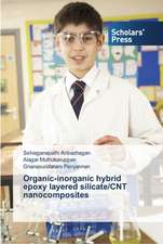 Organic-inorganic hybrid epoxy layered silicate/CNT nanocomposites