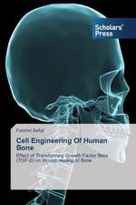 Cell Engineering of Human Bone: A Study on Their Performance