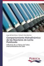 Comportamiento Hidrodinamico de Los Reactores de Lecho Fluidizado