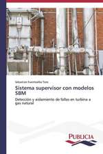 Sistema Supervisor Con Modelos Sbm: Intento Global Para Redefinir La Familia