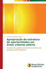 Apropriacao de Estrutura de Oportunidades Em Areas Urbanas Pobres: Um Enfoque Sistemico