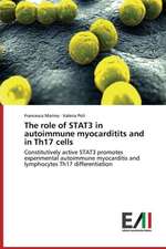 The Role of Stat3 in Autoimmune Myocarditits and in Th17 Cells: Gli Amori Difficili