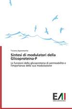 Sintesi Di Modulatori Della Glicoproteina-P: La Mission, Il Pubblico, Il Territorio