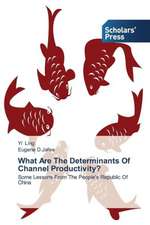 What Are the Determinants of Channel Productivity?: Youth & Parents Challenges