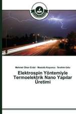 Elektrospin Yöntemiyle Termoelektrik Nano Yapilar Üretimi