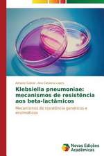 Klebsiella Pneumoniae: Mecanismos de Resistencia Aos Beta-Lactamicos