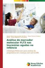 Analise Do Marcador Molecular Flt3 NAS Leucemias Agudas Na Infancia: Efeitos Economicos Urbanos de Uma Nova Rodovia