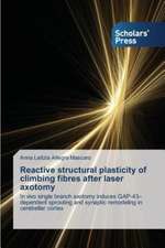 Reactive Structural Plasticity of Climbing Fibres After Laser Axotomy: Esthetics and Ethics in the Novel