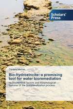 Bio-Hydrozincite: A Promising Tool for Water Bioremediation