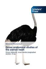 Gross Anatomical Studies of the Ostrich Heart: Late Modernity in Language Classrooms