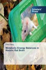 Metabolic Energy Balances in Ketotic Rat Brain