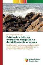 Estudo Do Efeito Da Energia de Desgaste Na Durabilidade de Gnaisses: Quem Sao OS "Perigosos"?