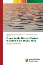 Equacao de Navier-Stokes E Sistema de Boussinesq: Uma Analise de Lucas 6,20-26