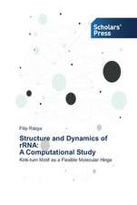 Structure and Dynamics of Rrna: A Computational Study