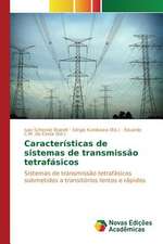 Caracteristicas de Sistemas de Transmissao Tetrafasicos: Praticas E Discursos