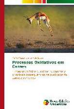 Processos Oxidativos Em Carnes: Estudos No Brasil