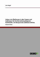 Anbau von Ölpflanzen in den Tropen und Subtropen für die Herstellung biogener Kraftstoffe - Am Beispiel des südlichen Afrikas