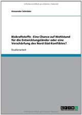 Biokraftstoffe - Eine Chance auf Wohlstand für die Entwicklungsländer oder eine Verschärfung des Nord-Süd-Konfliktes?