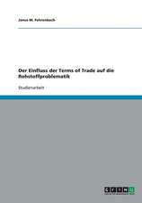 Der Einfluss der Terms of Trade auf die Rohstoffproblematik