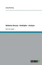 Madame Bovary - Rodolphe - Analyse