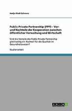 Public Private Partnership (PPP) - Vor- und Nachteile der Kooperation zwischen öffentlicher Verwaltung und Wirtschaft