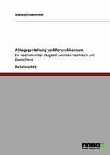 Alltagsgestaltung und Fernsehkonsum