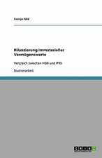 Bilanzierung immaterieller Vermögenswerte