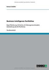 Business Intelligence Portfollios