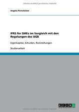 IFRS for SMEs im Vergleich mit den Regelungen des UGB