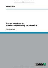 Gefahr, Vorsorge und Restrisikominimierung im Atomrecht