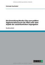 Die Entwicklung Mexiko Citys zum größten Agglomerationsraum der Welt unter dem Aspekt der sozialräumlichen Segregation