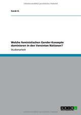 Welche feministischen Gender-Konzepte dominieren in den Vereinten Nationen?