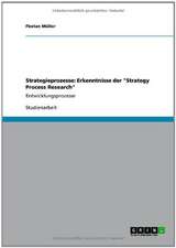 Strategieprozesse: Erkenntnisse der "Strategy Process Research"