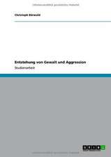 Entstehung von Gewalt und Aggression