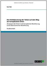 Die Politikberatung der Türkei auf dem Weg zur Europäischen Union