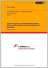 Auswirkungen von chemotherapeutischem Stress auf die Struktur und die Funktion des Nukleolus