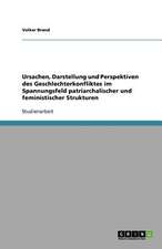 Ursachen, Darstellung und Perspektiven des Geschlechterkonfliktes im Spannungsfeld patriarchalischer und feministischer Strukturen