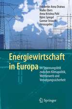 Energiewirtschaft in Europa: Im Spannungsfeld zwischen Klimapolitik, Wettbewerb und Versorgungssicherheit