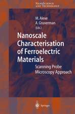 Nanoscale Characterisation of Ferroelectric Materials: Scanning Probe Microscopy Approach