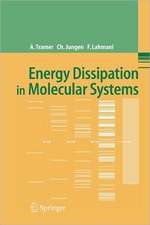 Energy Dissipation in Molecular Systems