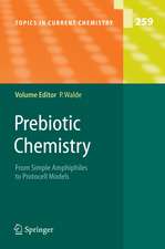 Prebiotic Chemistry: From Simple Amphiphiles to Protocell Models