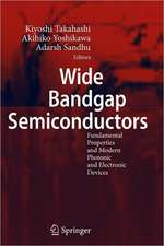 Wide Bandgap Semiconductors: Fundamental Properties and Modern Photonic and Electronic Devices