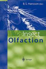 Insect Olfaction